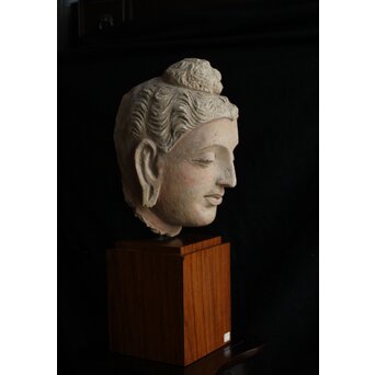 ガンダーラ美術 ストゥッコ 仏頭　X573 