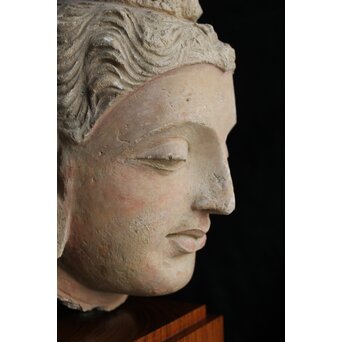 ガンダーラ美術 ストゥッコ 仏頭　X573 