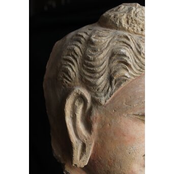 ガンダーラ美術 ストゥッコ 仏頭　X573 