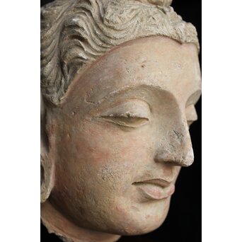 ガンダーラ美術 ストゥッコ 仏頭　X573 