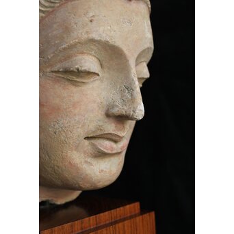 ガンダーラ美術 ストゥッコ 仏頭　X573 