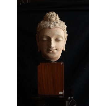 ガンダーラ美術 ストゥッコ 仏頭　X573 