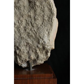 ガンダーラ美術 ストゥッコ 仏頭　X573 