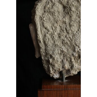 ガンダーラ美術 ストゥッコ 仏頭　X573 