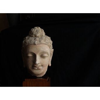 ガンダーラ美術 ストゥッコ 仏頭　X573 