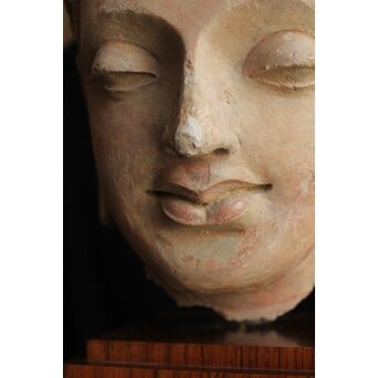 ガンダーラ美術 ストゥッコ 仏頭　X573 