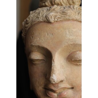 ガンダーラ美術 ストゥッコ 仏頭　X573 