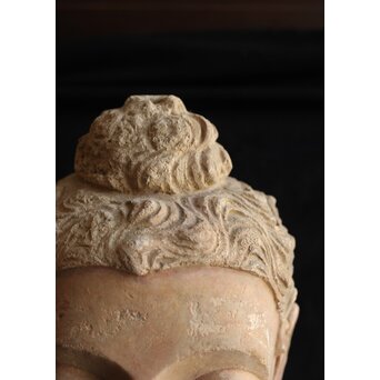 ガンダーラ美術 ストゥッコ 仏頭　X573 