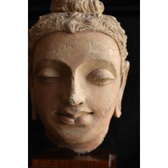 ガンダーラ美術 ストゥッコ 仏頭　X573 