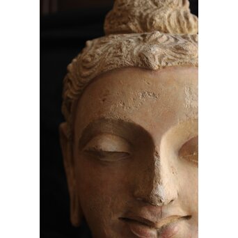 ガンダーラ美術 ストゥッコ 仏頭　X573 