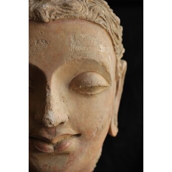 ガンダーラ美術 ストゥッコ 仏頭　X573 