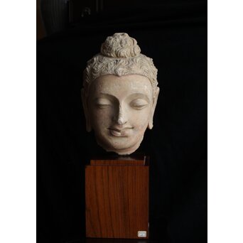 ガンダーラ美術 ストゥッコ 仏頭　X573 