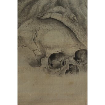 五十川 訊堂 画賛 HIPPOCRATES ヒポクラテス像 絹本軸装　Z573 