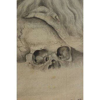 五十川 訊堂 画賛 HIPPOCRATES ヒポクラテス像 絹本軸装　Z573 