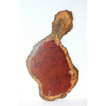 瓢型 花梨無垢敷板　X577 