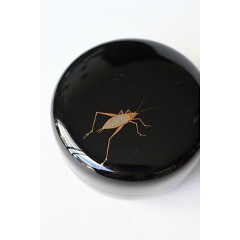 鈴谷鐡五郎 秋草に虫 蒔絵棗　Q374