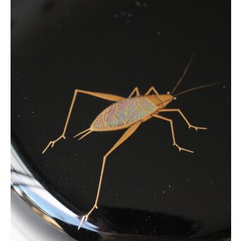 鈴谷鐡五郎 秋草に虫 蒔絵棗　Q374 