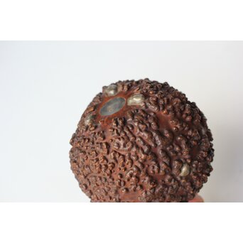 寿久銘 瓢錫茶壺 錫建水　M449 