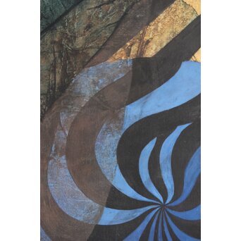 立山崇「標本」ミクストメディア　Z596 