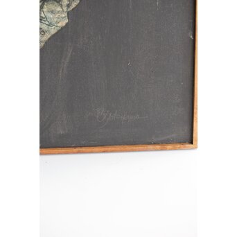 立山崇「標本」ミクストメディア　Z596 