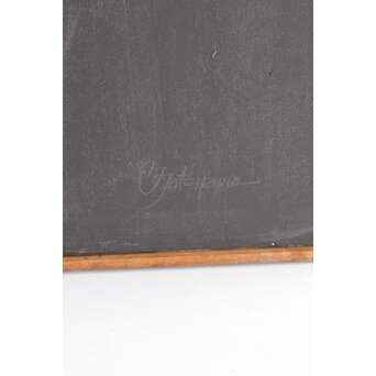 立山崇「標本」ミクストメディア　Z596 