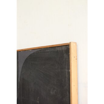 立山崇「標本」ミクストメディア　Z596 