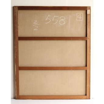 立山崇「標本」ミクストメディア　Z596 