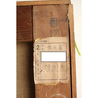 立山崇「標本」ミクストメディア　Z596 