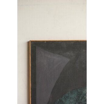 立山崇「標本」ミクストメディア　Z596 