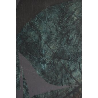 立山崇「標本」ミクストメディア　Z596 