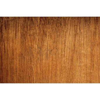 立山崇「ほし」銅板油彩　Z606 