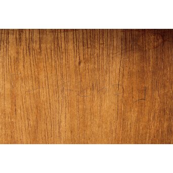 立山崇「ほし」銅板油彩　Z606 