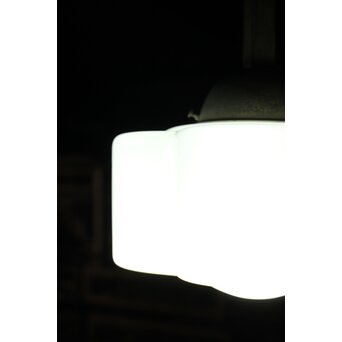 梅型 乳白色電笠　A497 