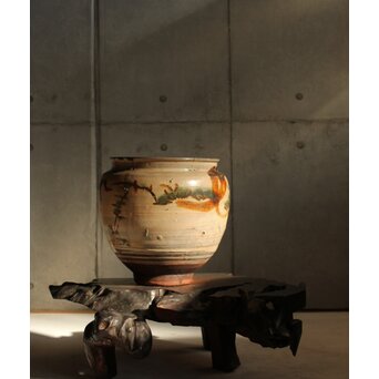 江戸時代 古武雄 鉄絵緑彩松岩文 水甕　P537 