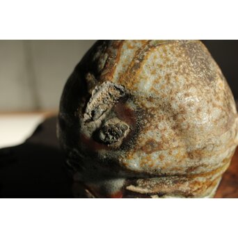 熊野九郎右衛門 熊志乃 汲古 徳利 共箱 おまけのぐい呑み付き　P540 