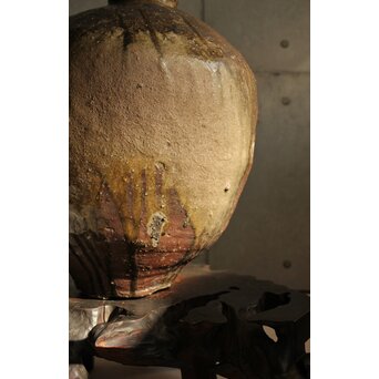 古信楽 大壺　P541 