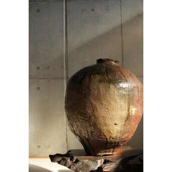 古信楽 大壺　P541 