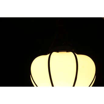 ほおずき型照明　A501 