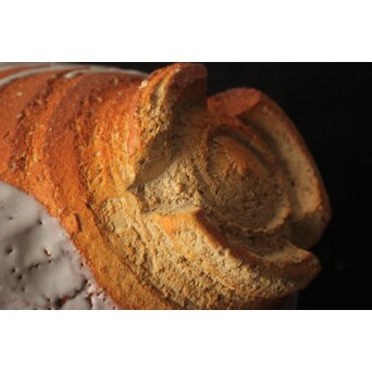 宇田川抱青 萩 片口 共箱　P546 