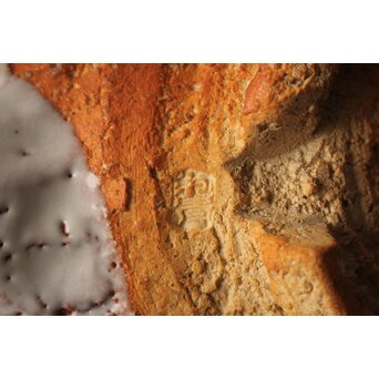 宇田川抱青 萩 片口 共箱　P546 