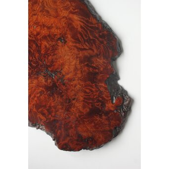 肥松の敷板　X594 