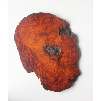 肥松の敷板　X594 