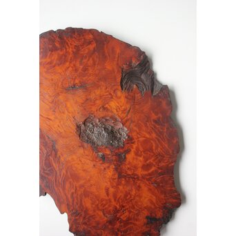 肥松の敷板　X594 