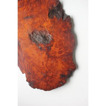 肥松の敷板　X594 