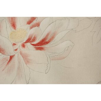 土田麦僊 素描画 額装一対　Z640 