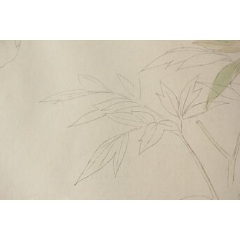 土田麦僊 素描画 額装一対　Z640 