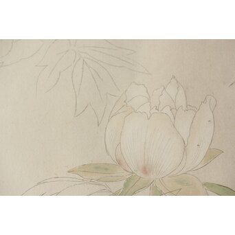 土田麦僊 素描画 額装一対　Z640 