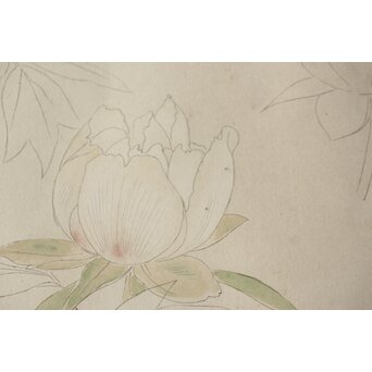 土田麦僊 素描画 額装一対　Z640 