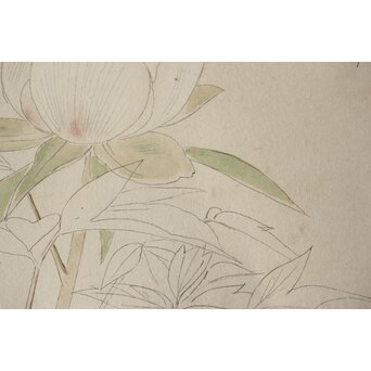 土田麦僊 素描画 額装一対　Z640 