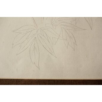 土田麦僊 素描画 額装一対　Z640 